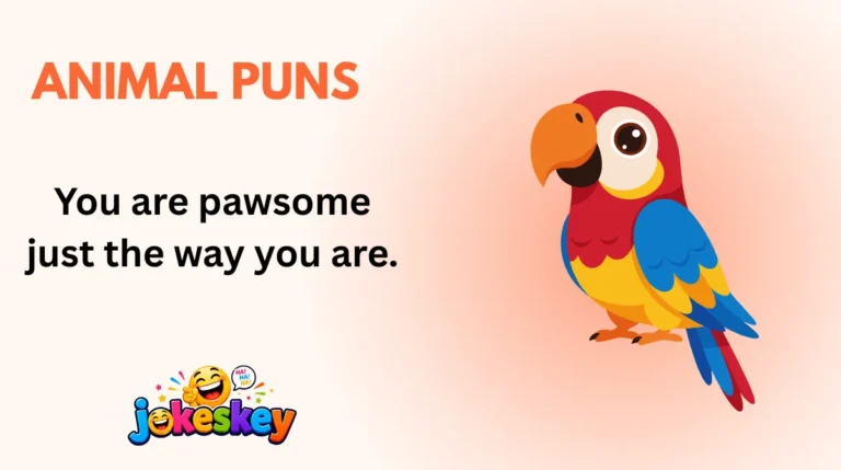 Animal Puns