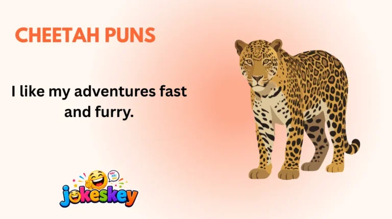 Cheetah Puns