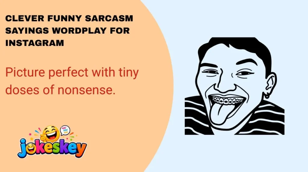Clever Funny Sarcasm Sayings Wordplay for Instagram