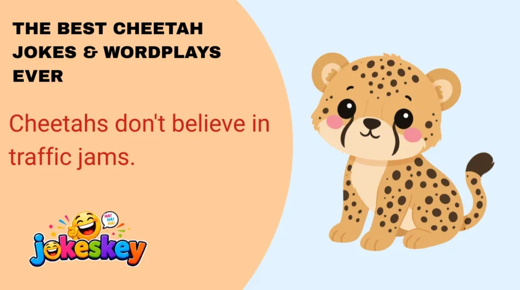 Cheetahs don't believe in traffic jams.